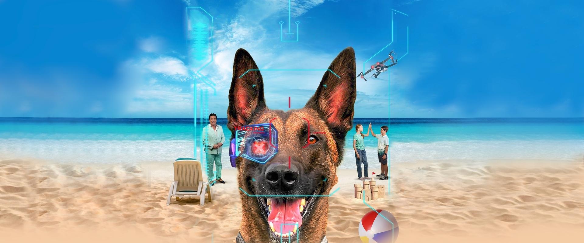 R.A.D.A.R.: The Adventures of the Bionic Dog