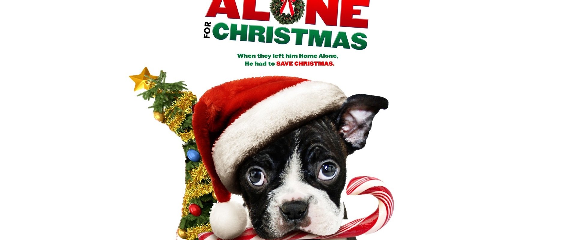 Bone Alone