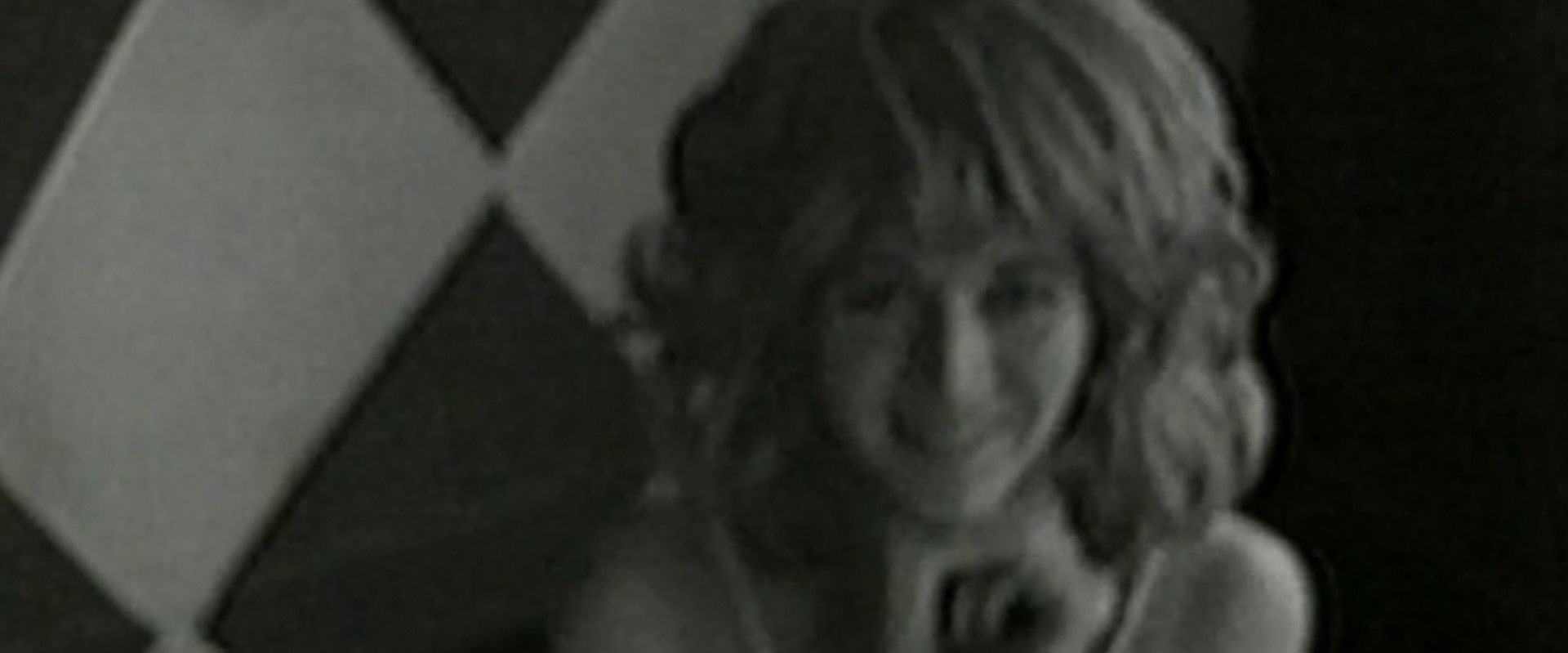 The Amateurist's banner image