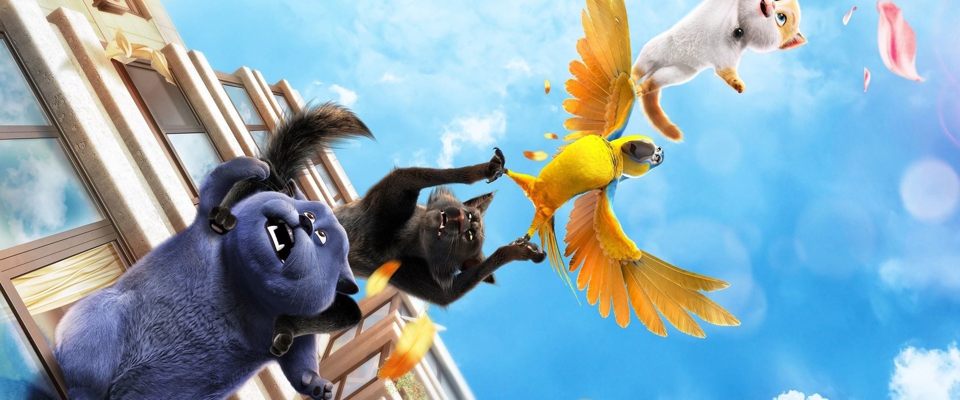 Cats