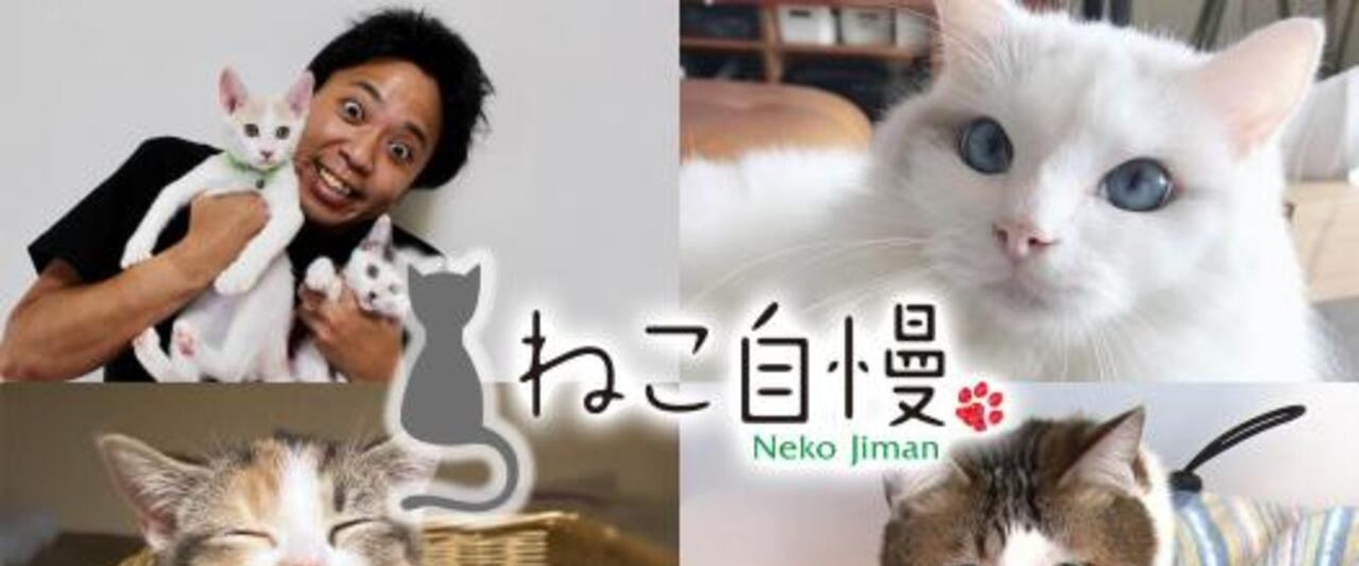 ねこ自慢