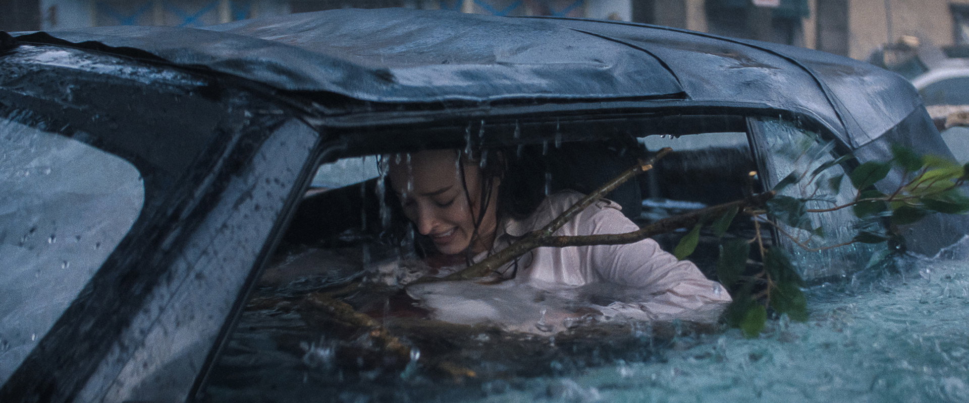 Thrash's banner image