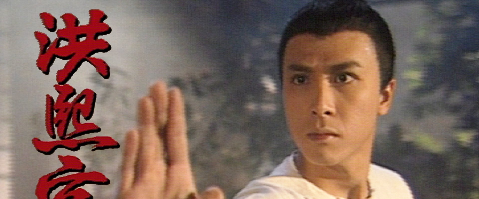 The Kung Fu Master