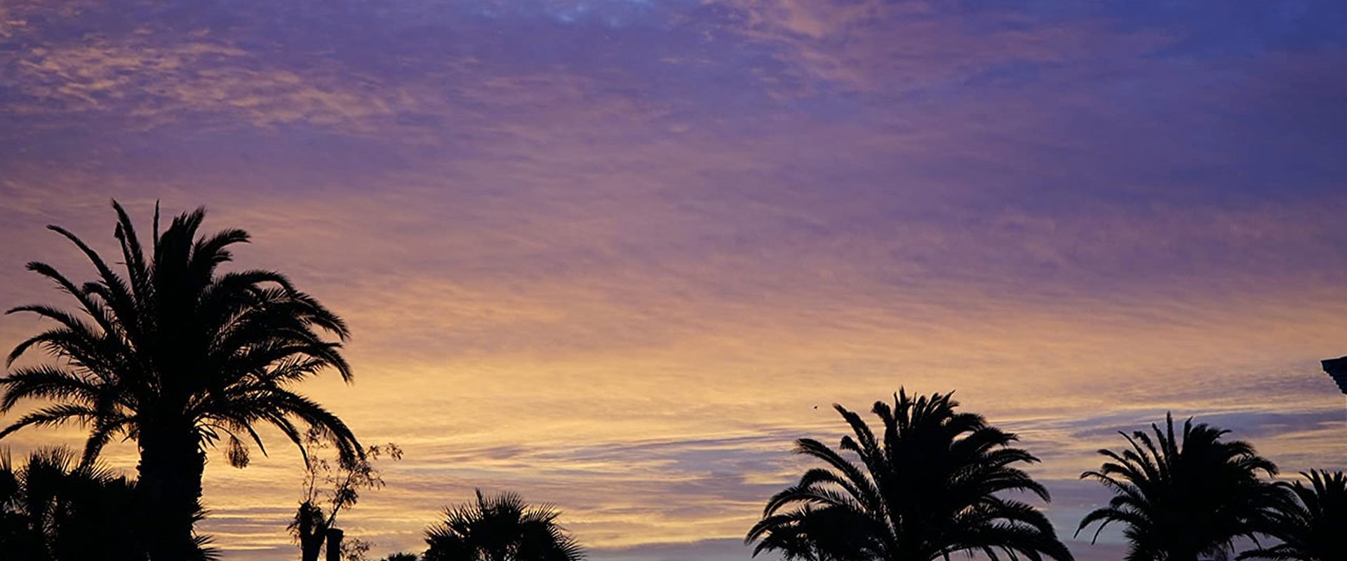 One Glorious Sunset