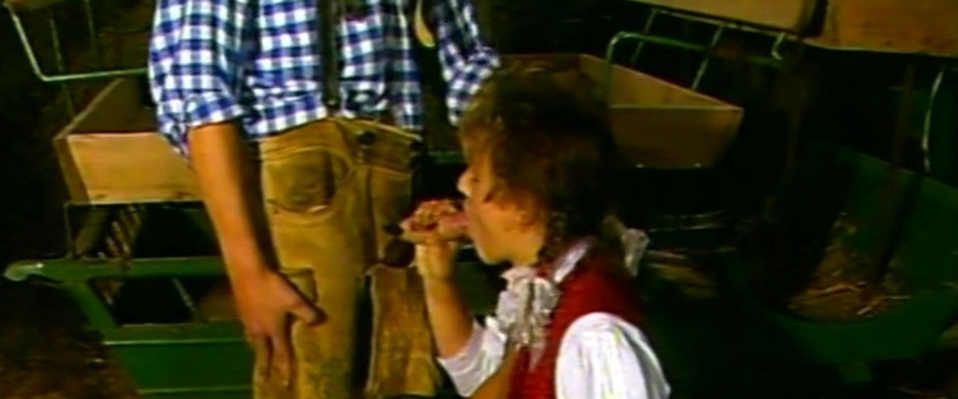 In der Heidi ist es doch am schönsten...'s banner image