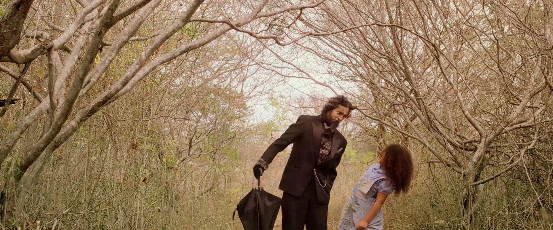 Alice dos Anjos's banner image