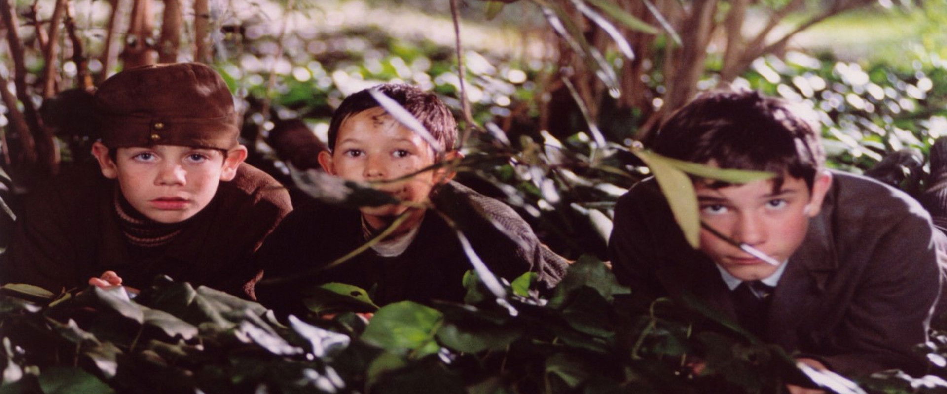 Die Jungen von der Paulstraße's banner image