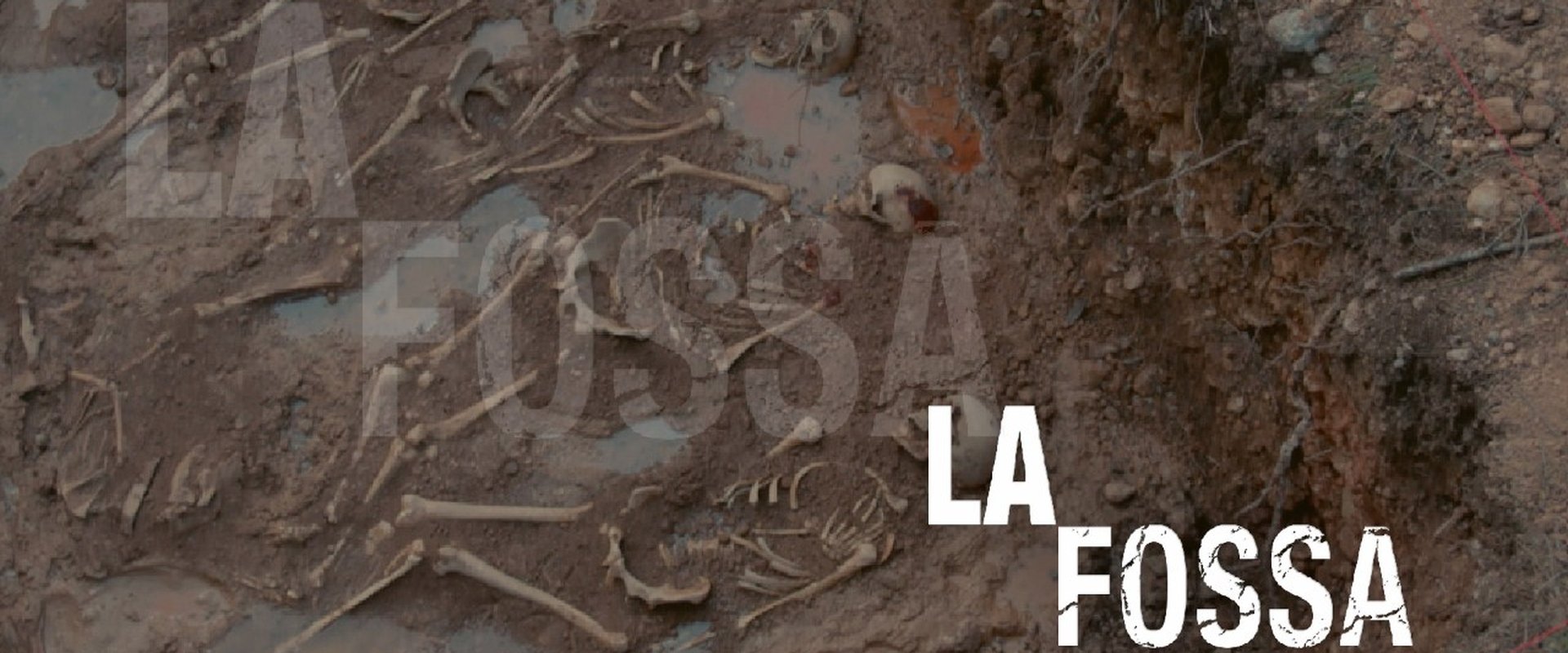 La fossa
