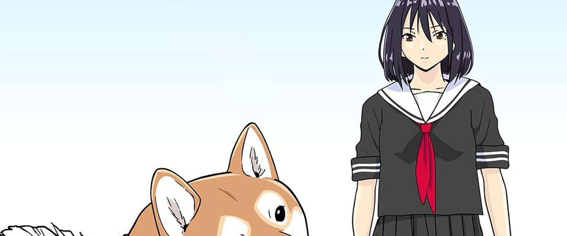世界末日柴犬为伴