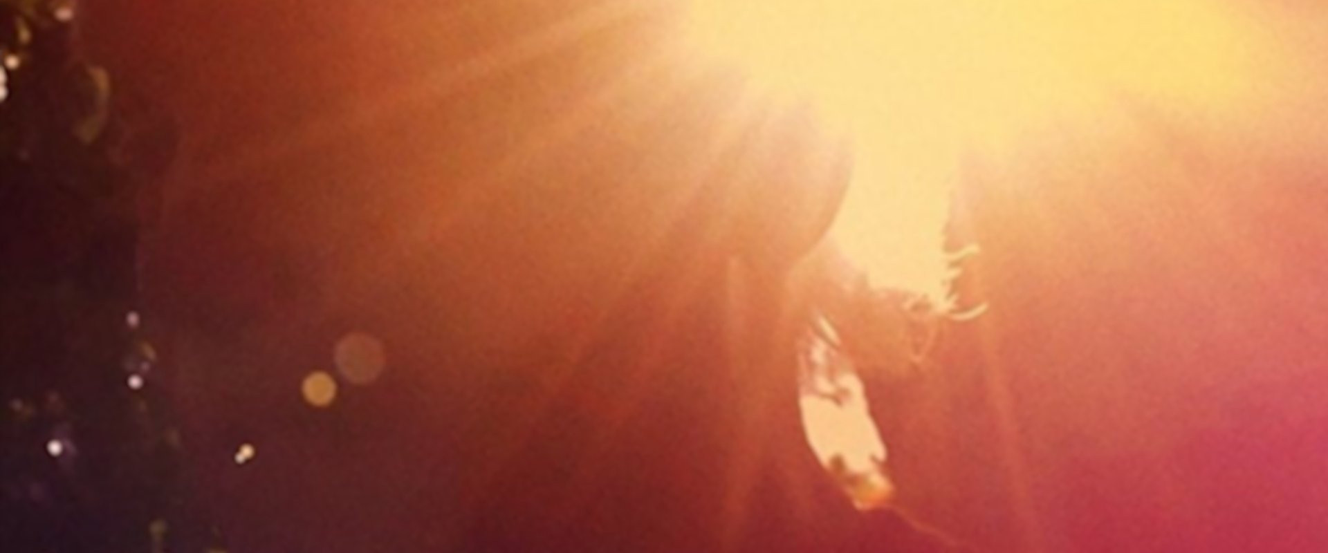 Ram Dass, Going Home