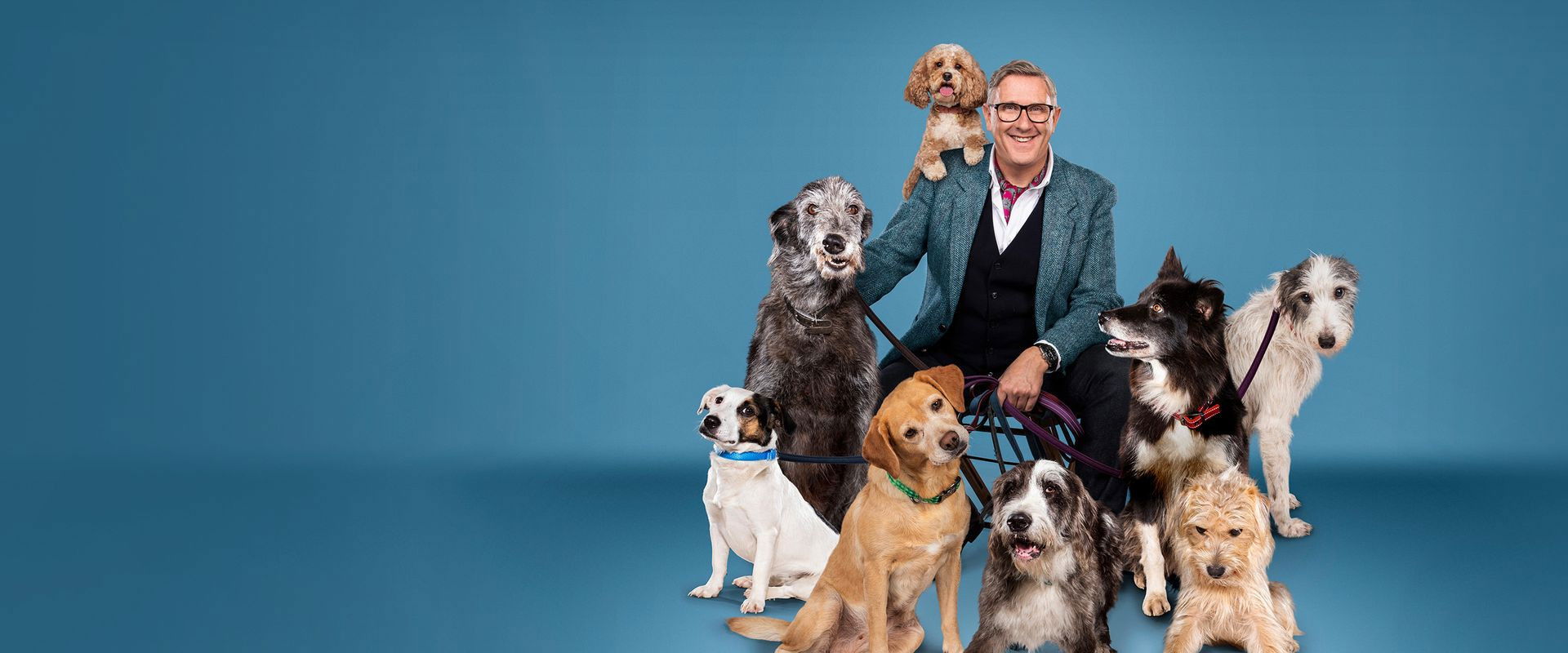 Dogs Behaving (Very) Badly's banner image