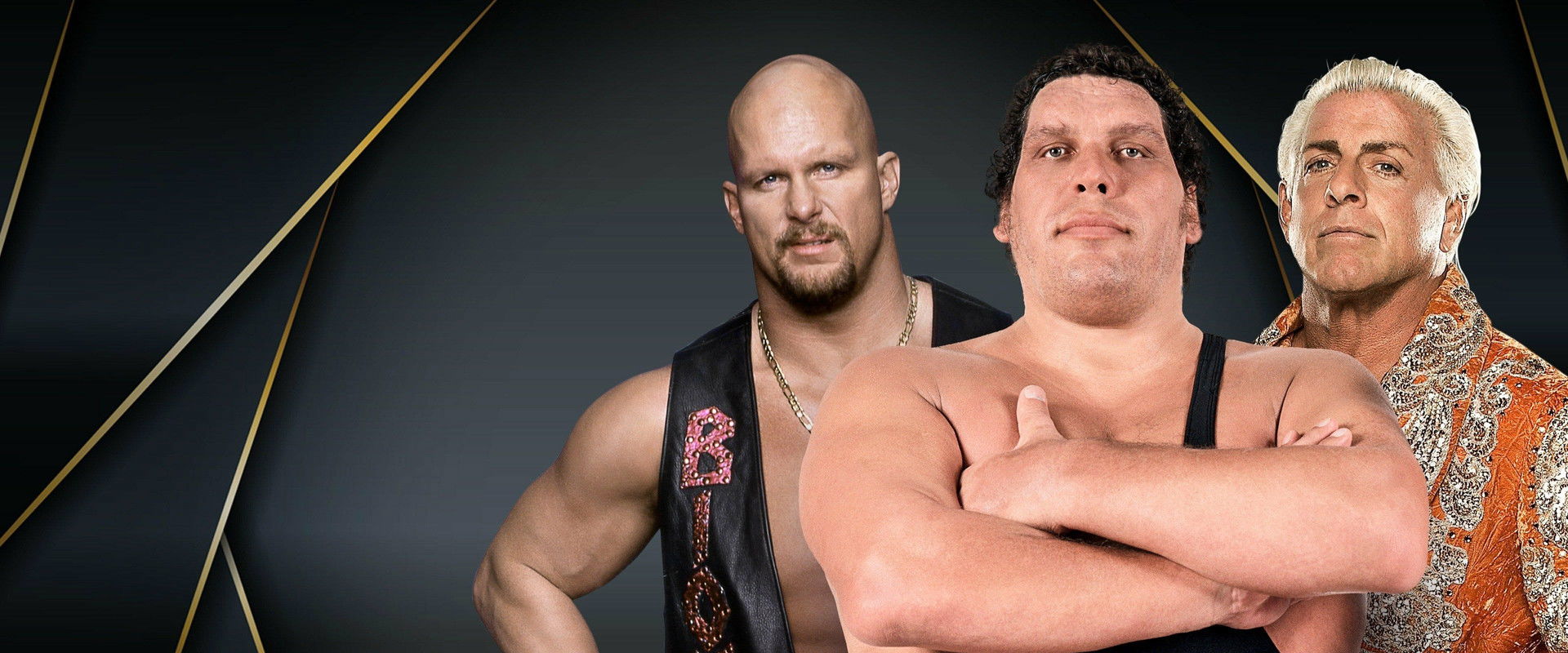 WWE Hall Of Fame 1995's banner image