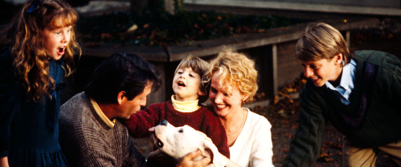 De vuelta a casa: Un viaje increíble