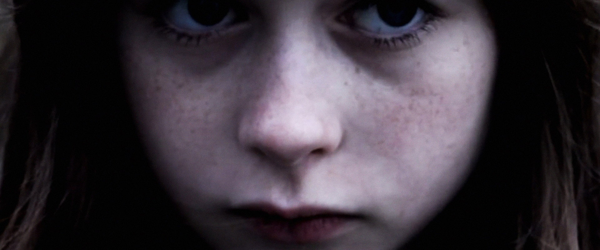 Pigeons Should Fly Freely In the Sky's banner image