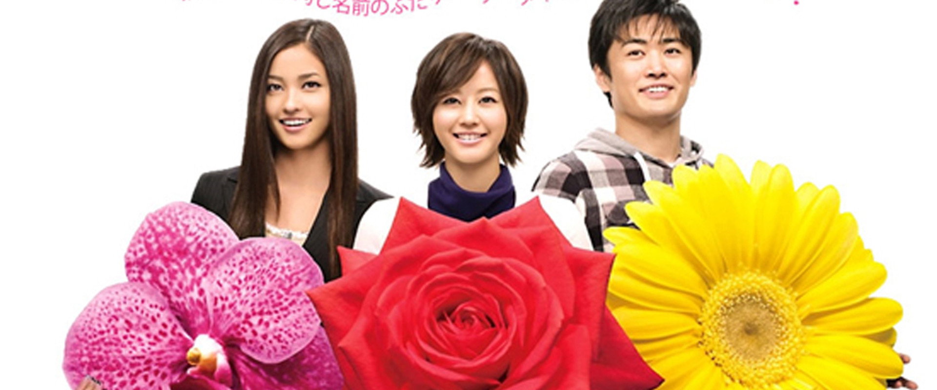 Chance!'s banner image