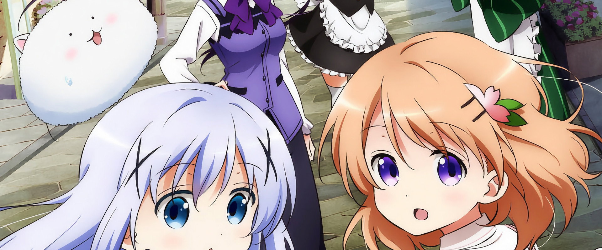 Is the Order a Rabbit?