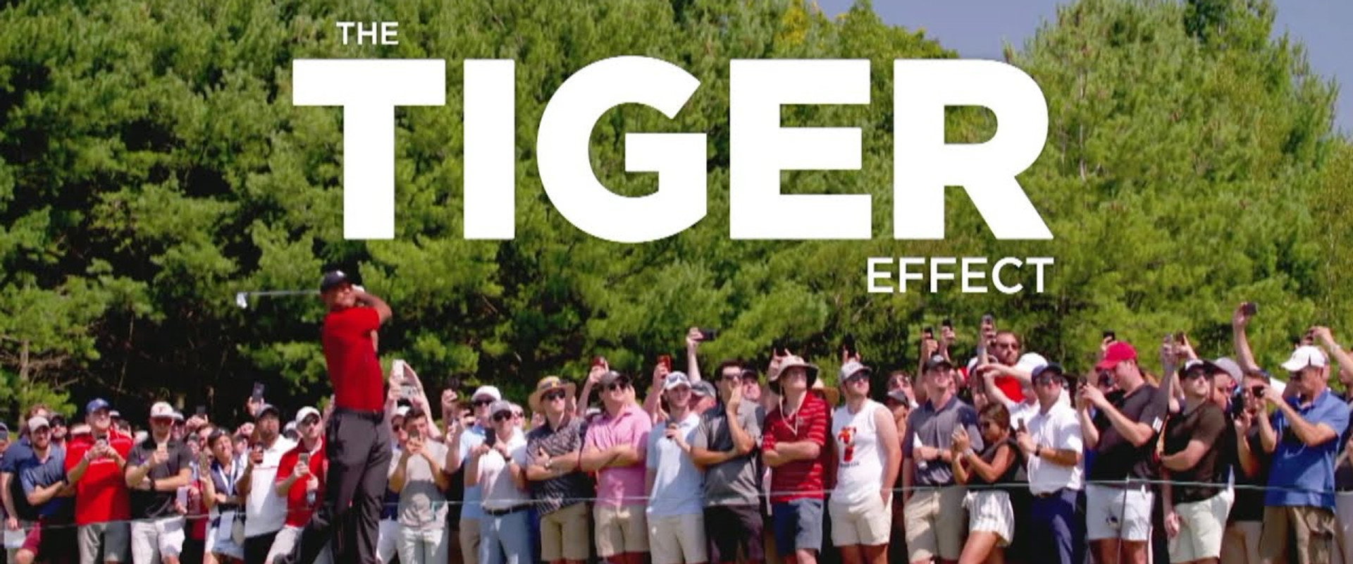 The Tiger Effect's banner image