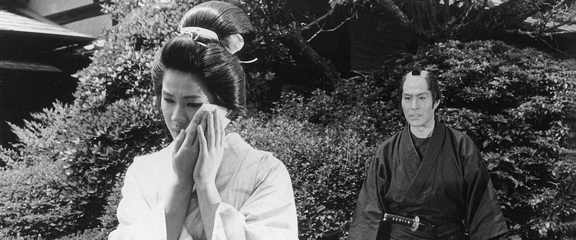 Assassin's Road's banner image