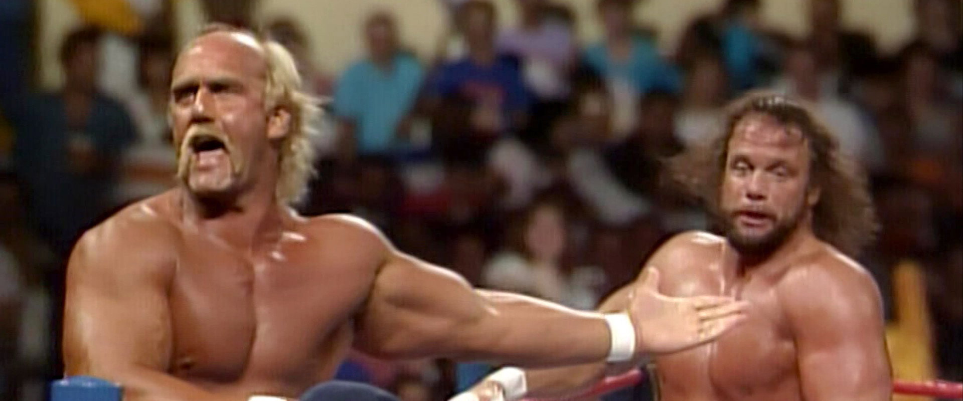 Macho Madness's banner image