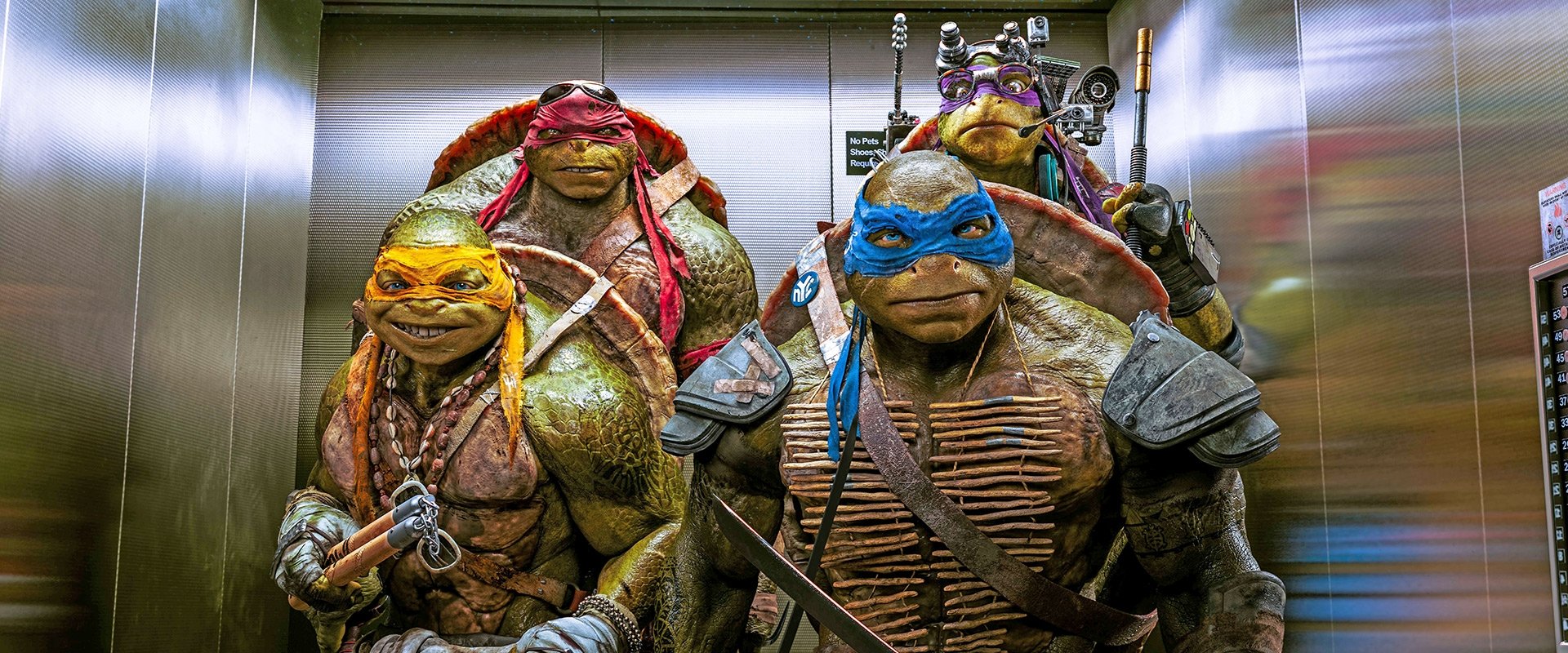 Teenage Mutant Ninja Turtles