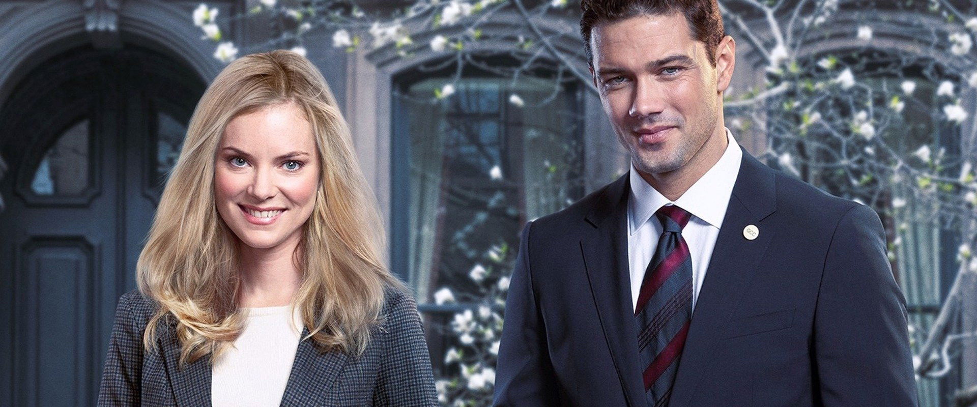 Unleashing Mr. Darcy