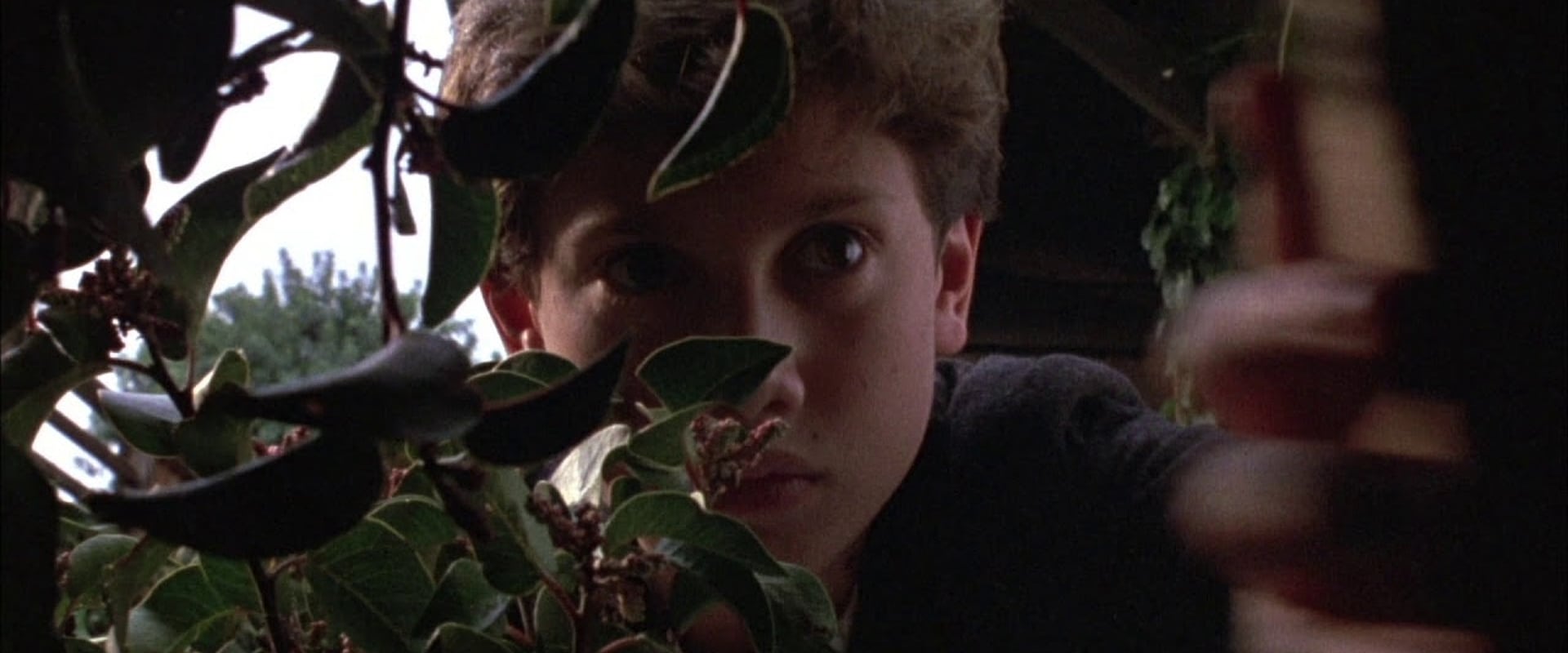 Children of the Corn III: Urban Harvest