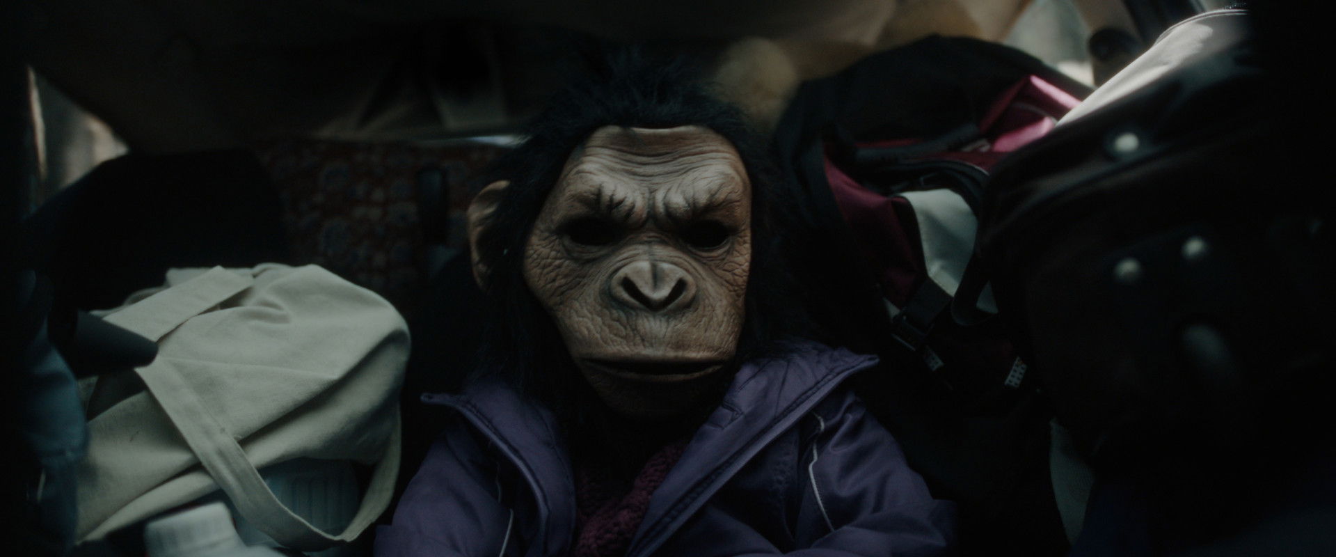 Disforia's banner image