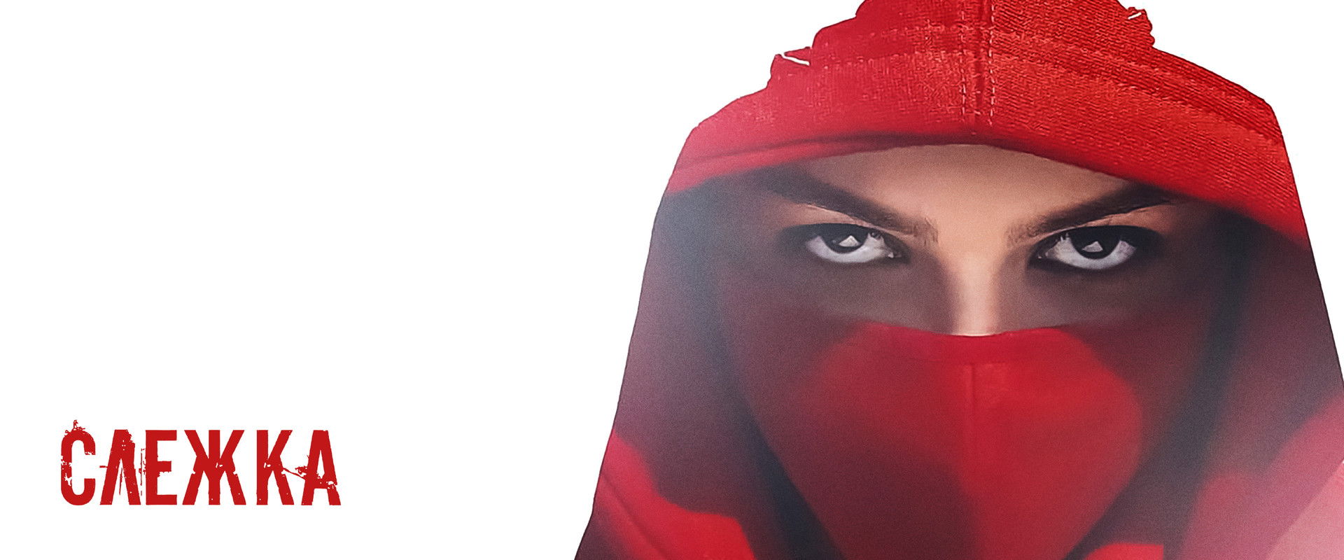 Surveillance's banner image