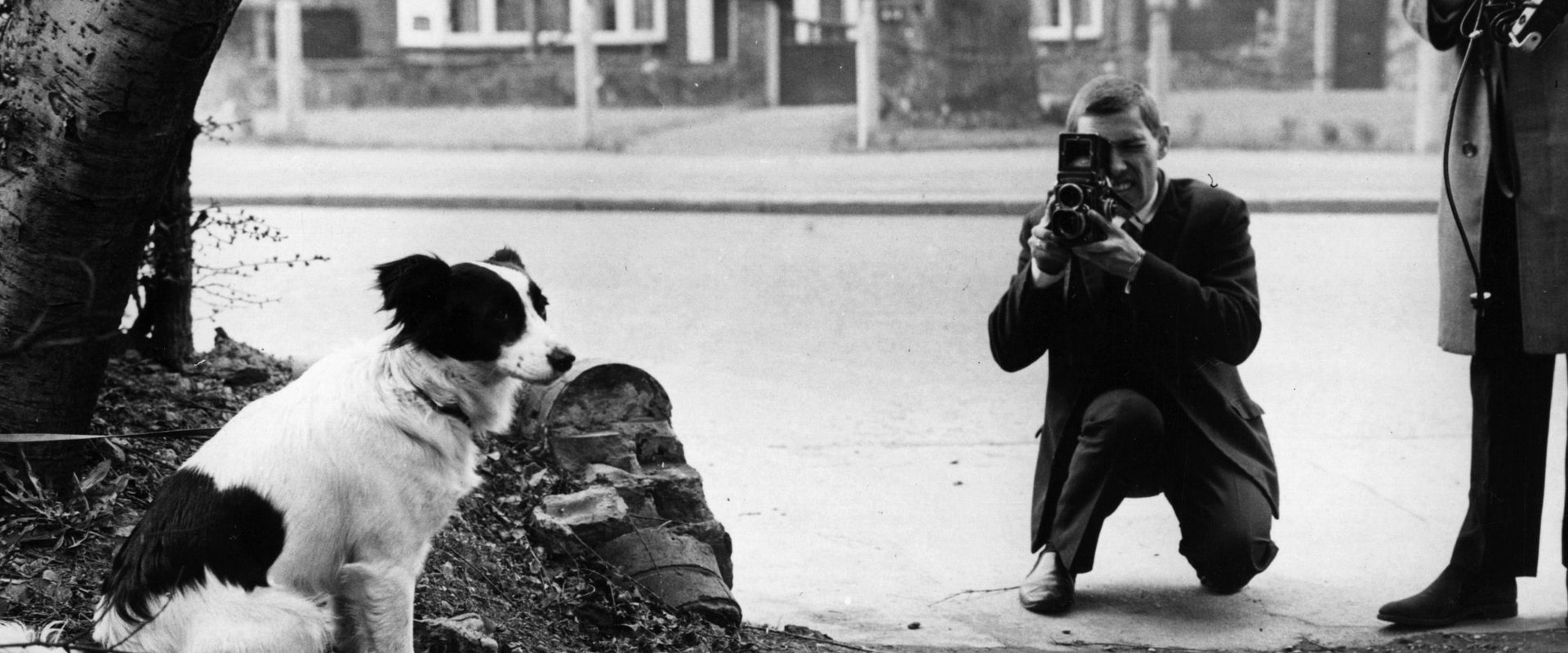 1966: Who Stole The World Cup?