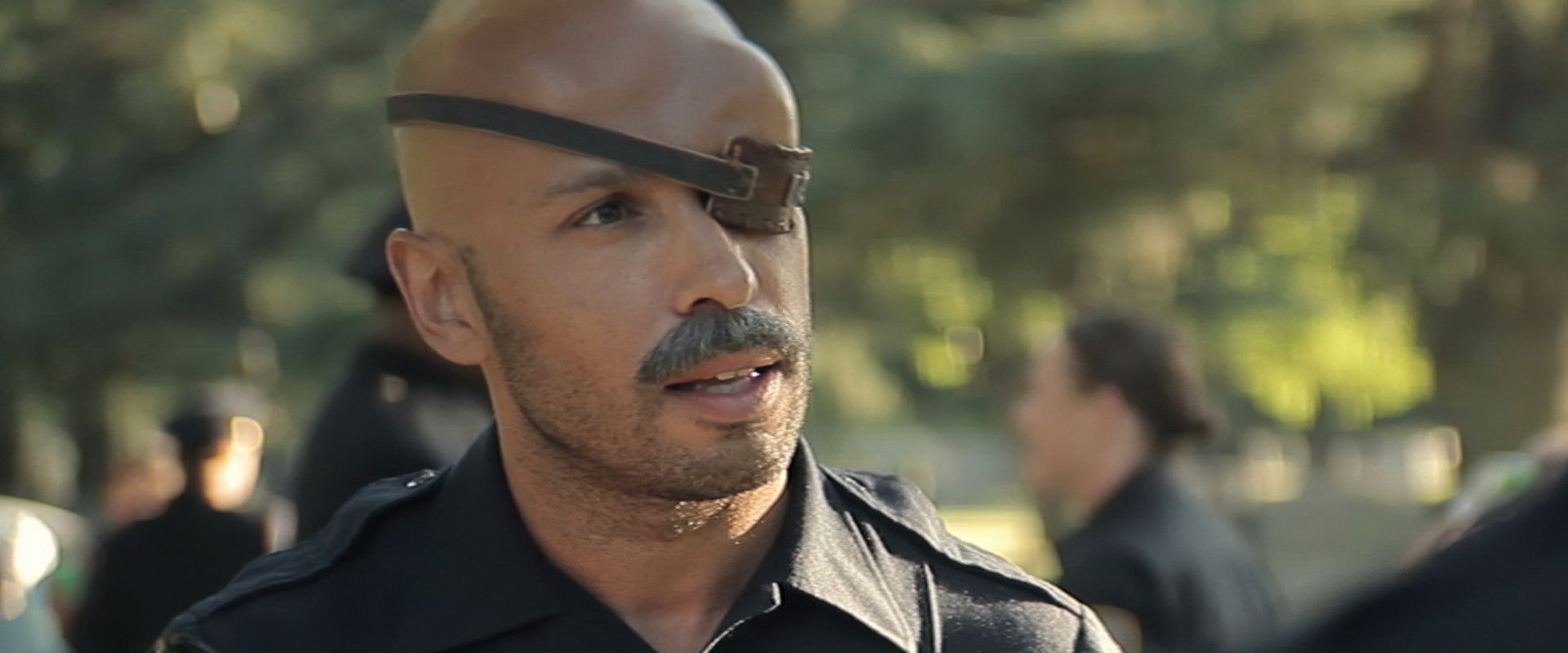 Wrong Cops, The Series's banner image