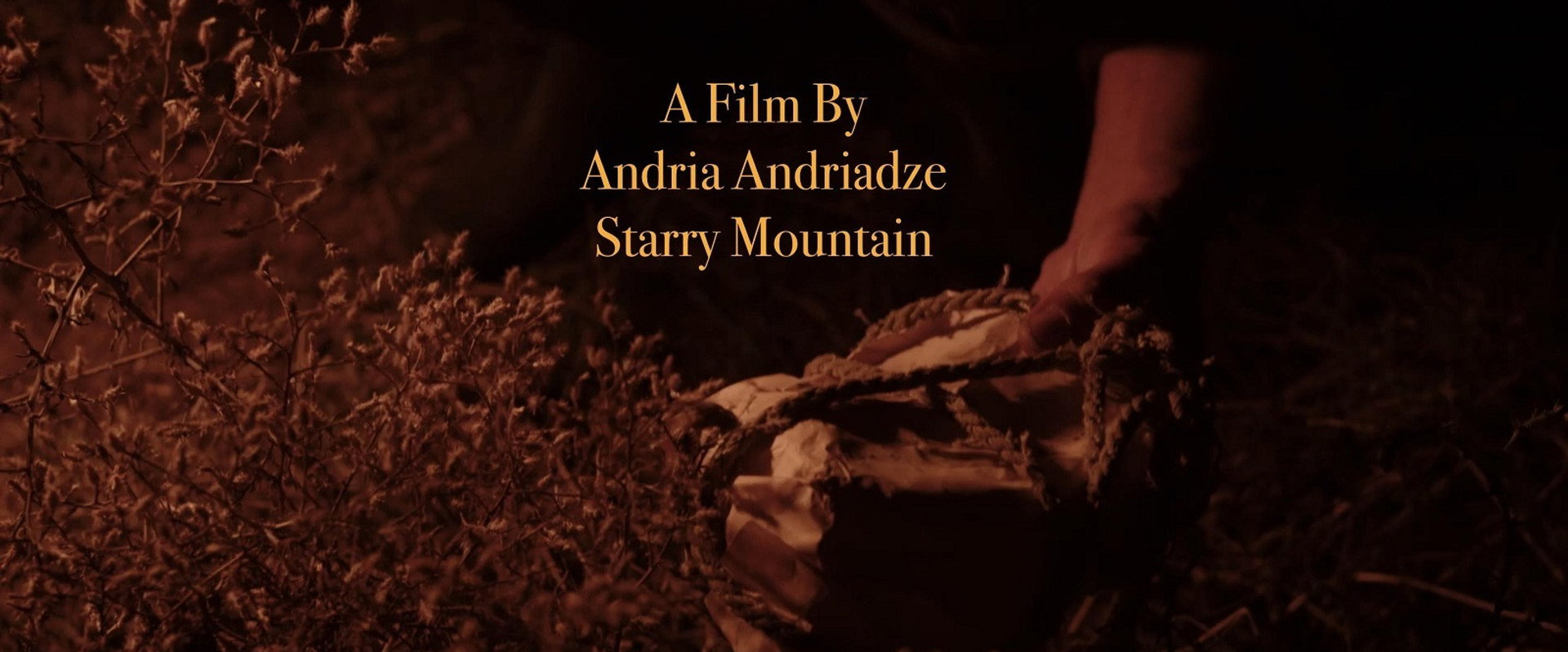 Starry Mountain's banner image