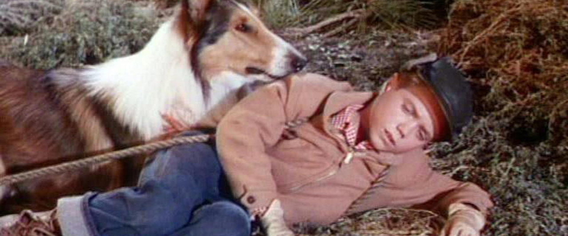 Lassie's Greatest Adventure's banner image