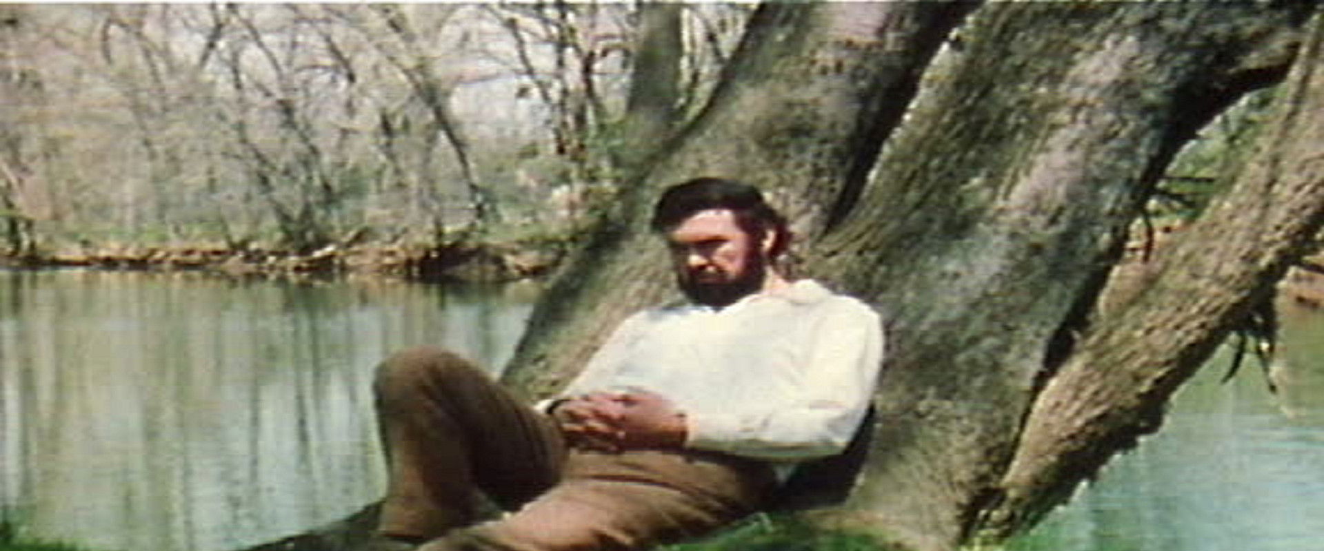 Walt Whitman: Poet for a New Age's banner image