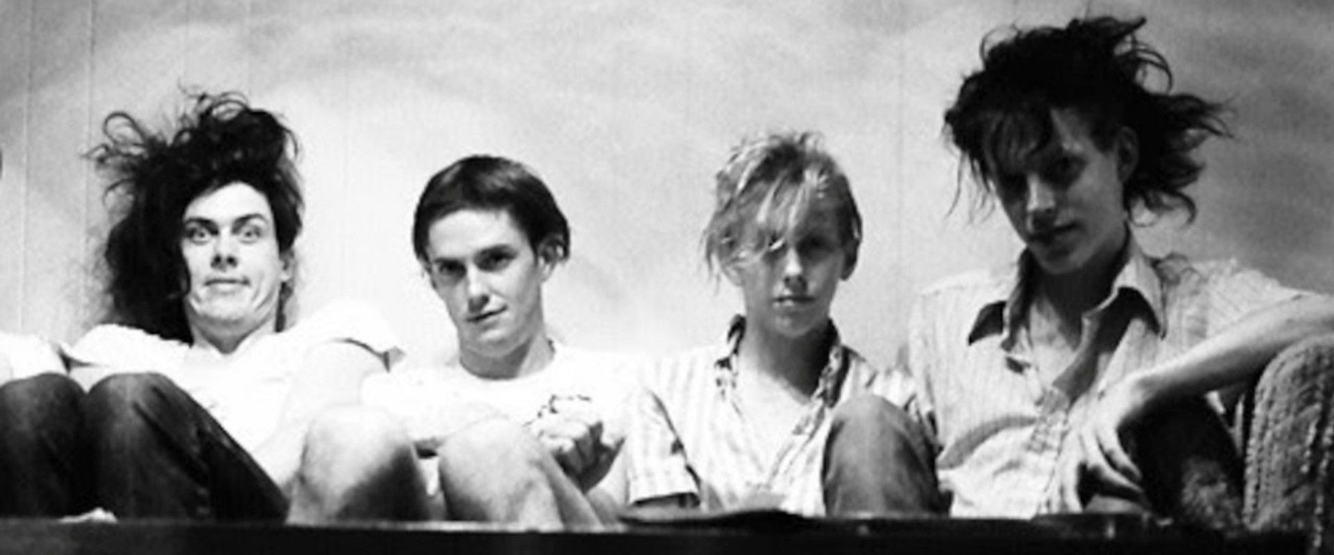 Butthole Surfers: The Hole Truth and Nothing Butt's banner image