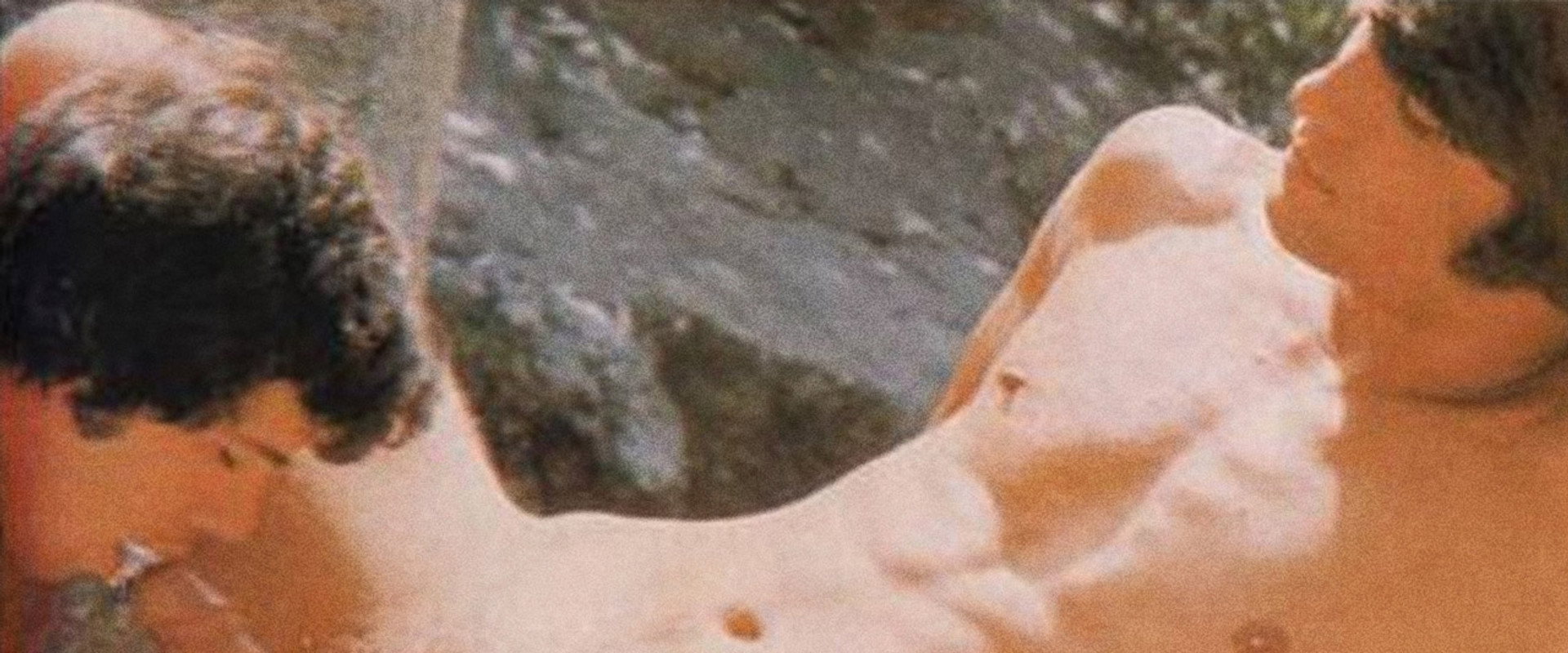 Muscle, Sweat & Brawn's banner image