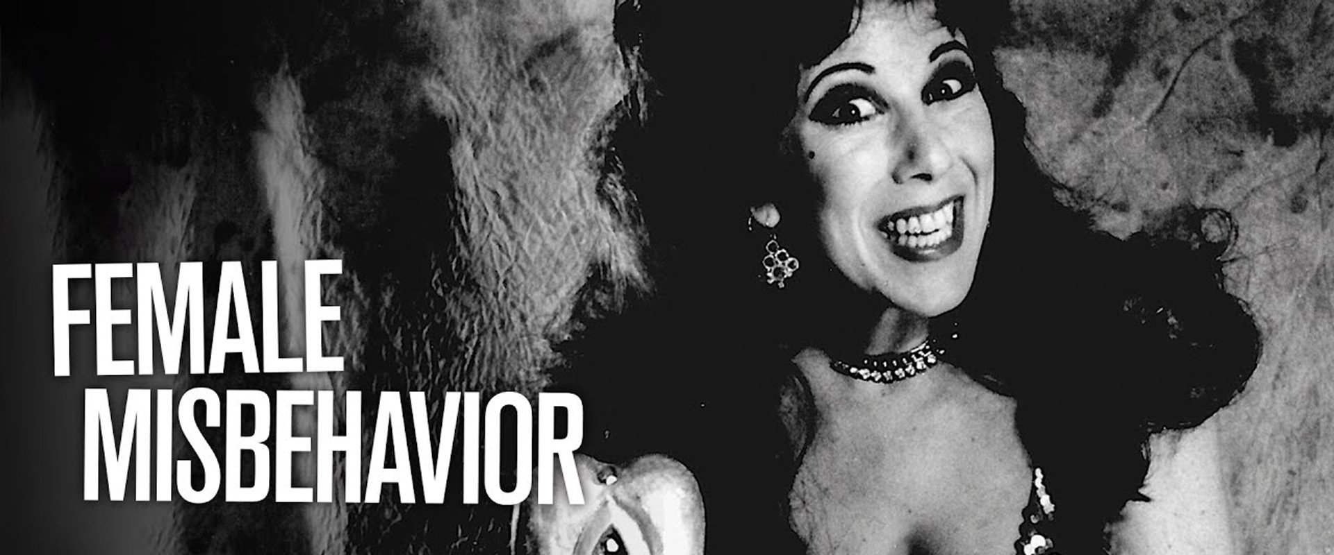Female Misbehavior's banner image