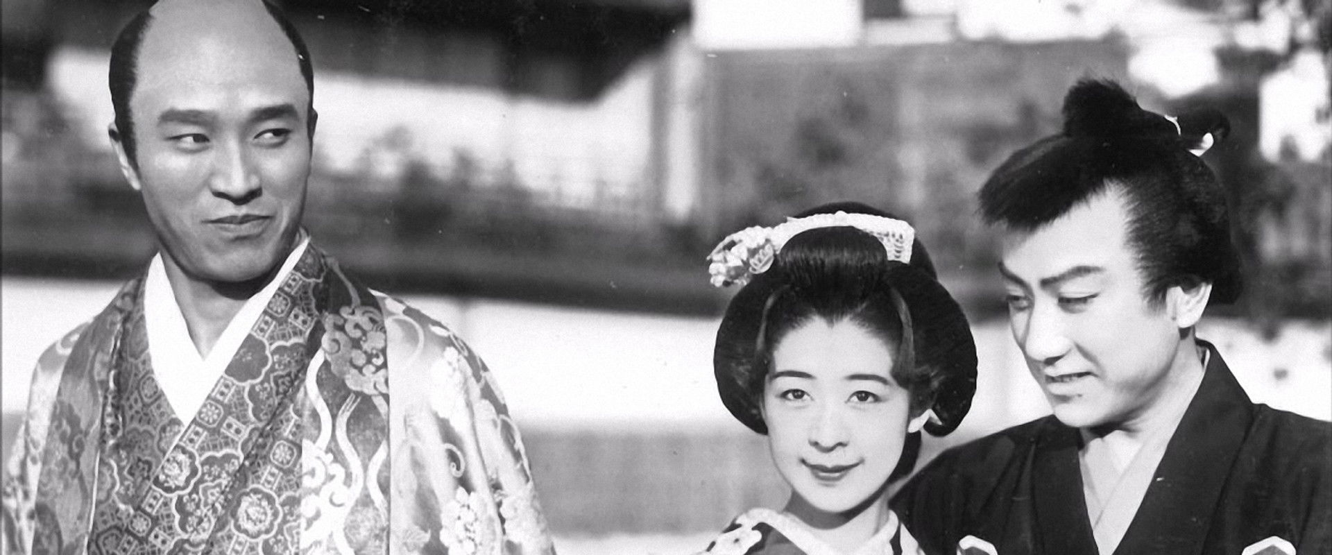 Singing Lovebirds's banner image