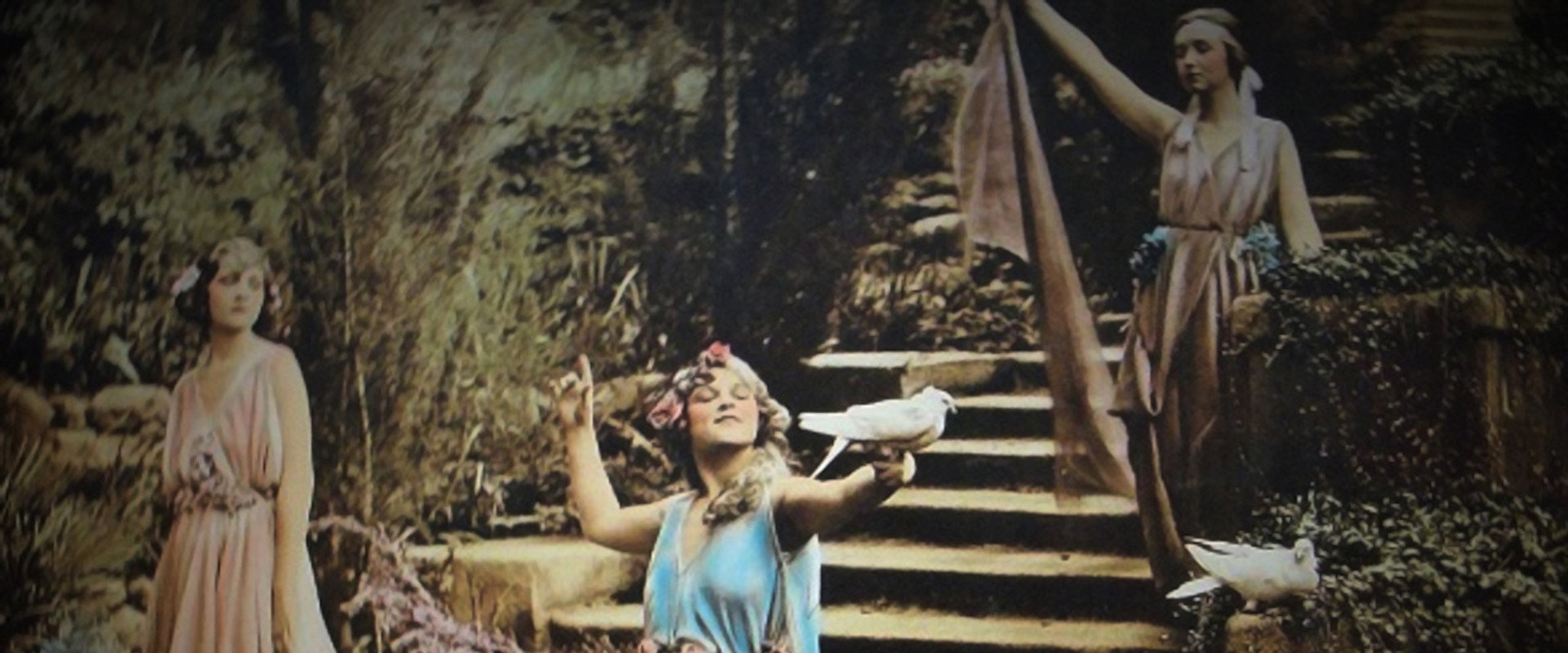 Miss Hobbs's banner image