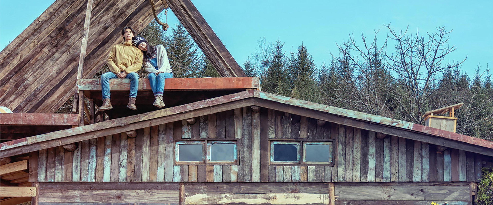 你的世界如果没有我
