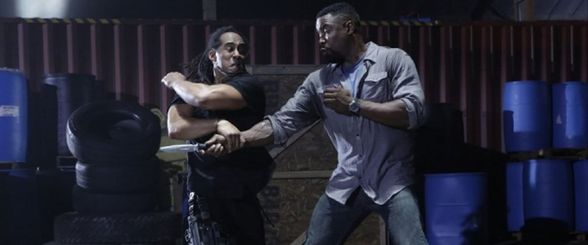 Falcon Rising