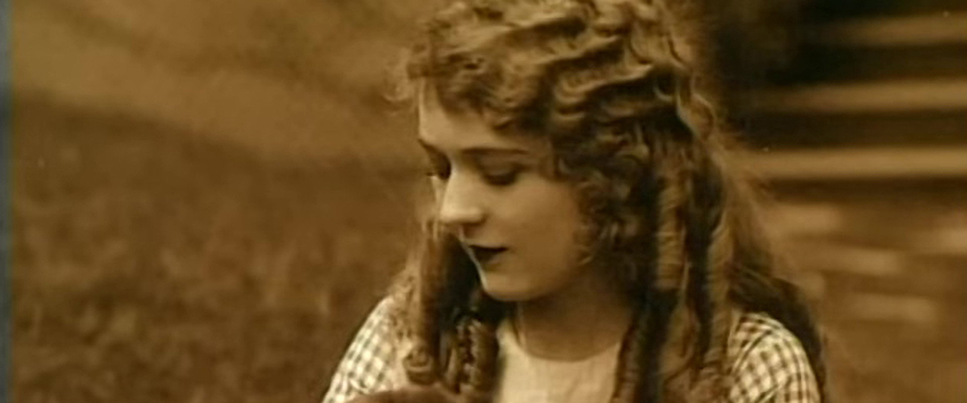 Mary Pickford: A Life on Film's banner image