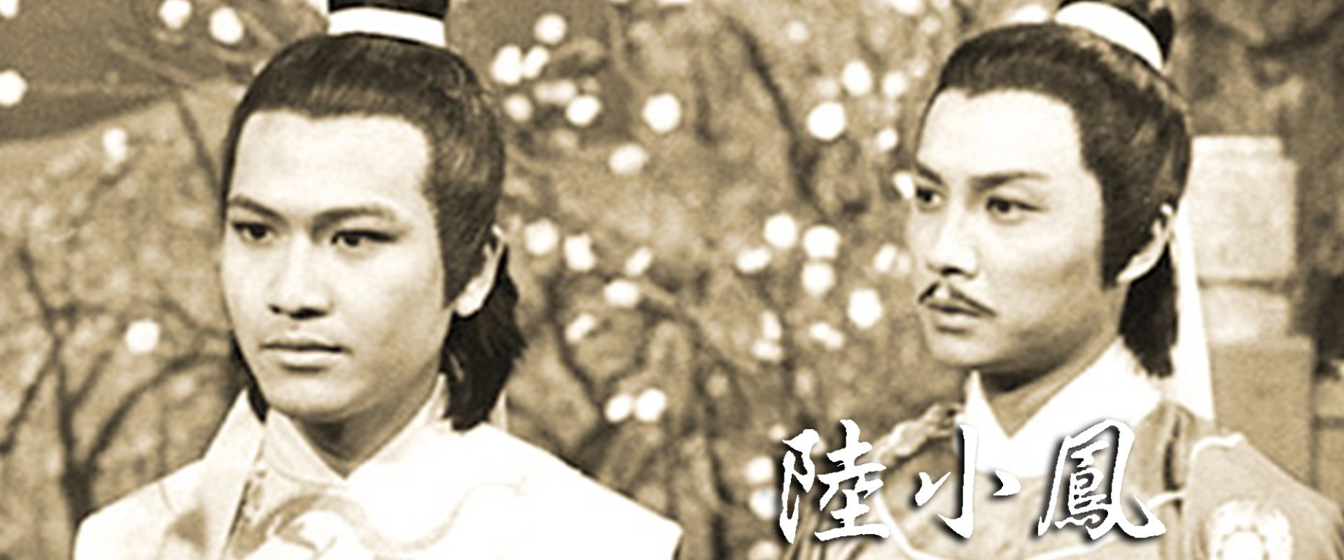 Luk Siu Fung (Series III)'s banner image