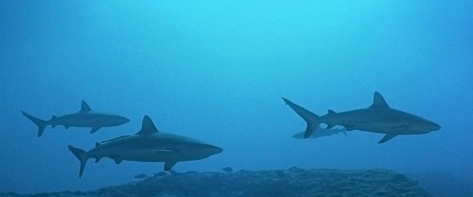 Atlantis