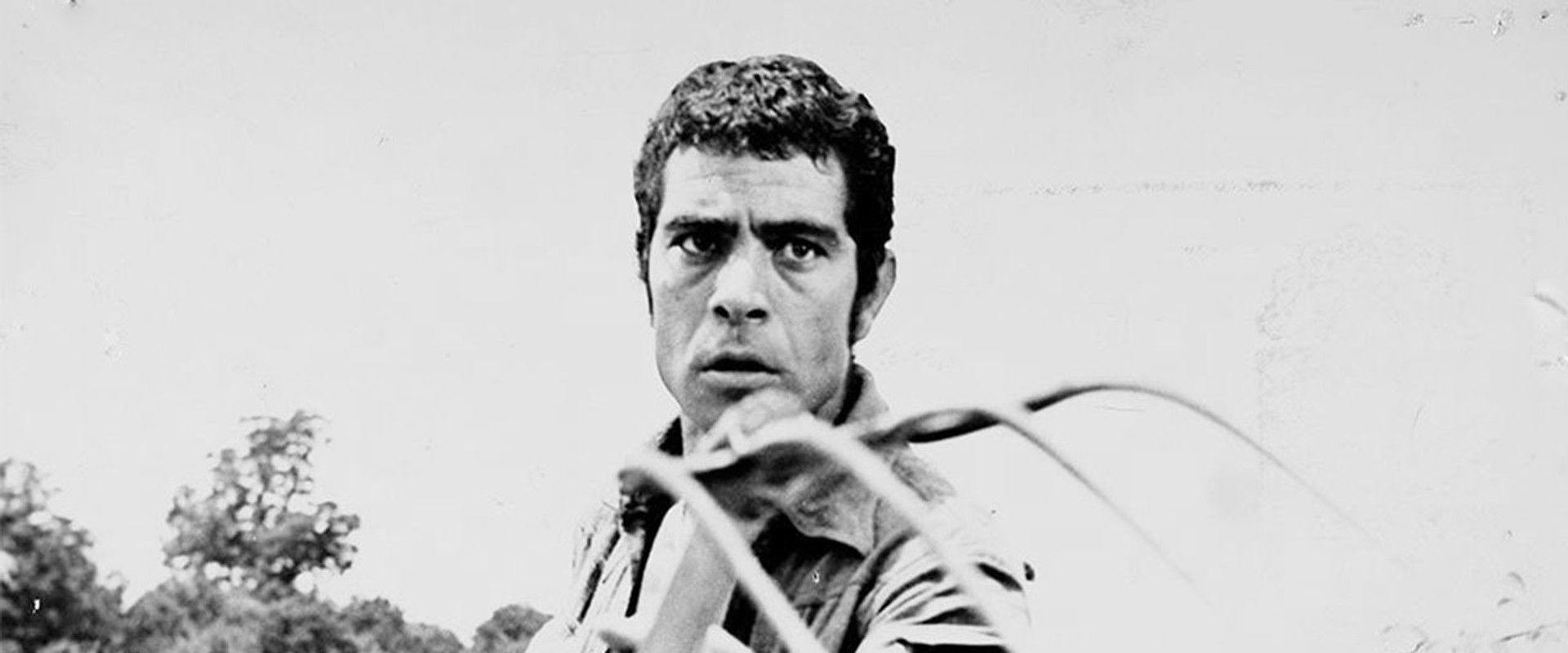 Rashid's banner image