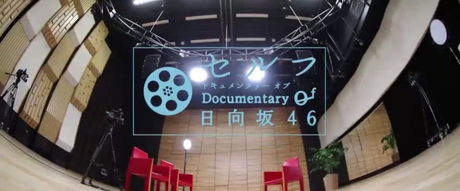 セルフ Documentary of 日向坂46