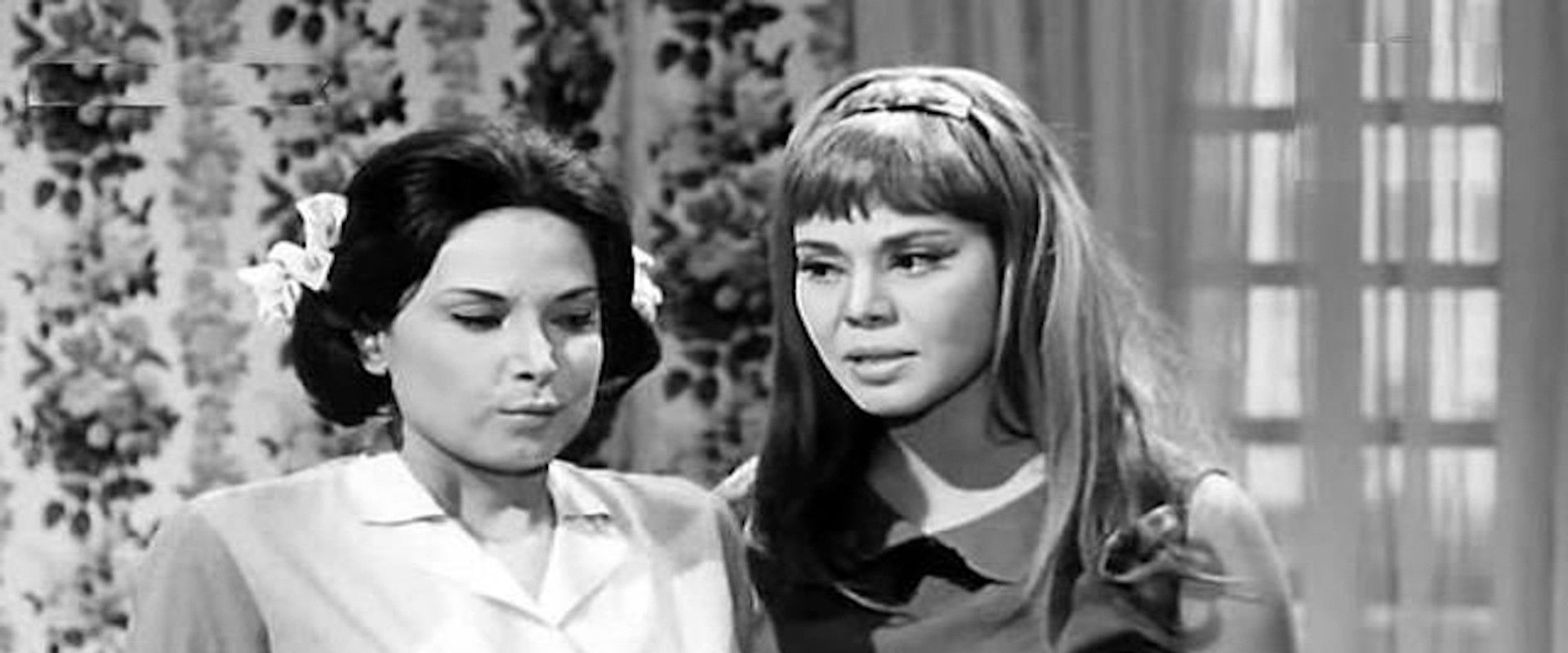 Eve on the Road's banner image