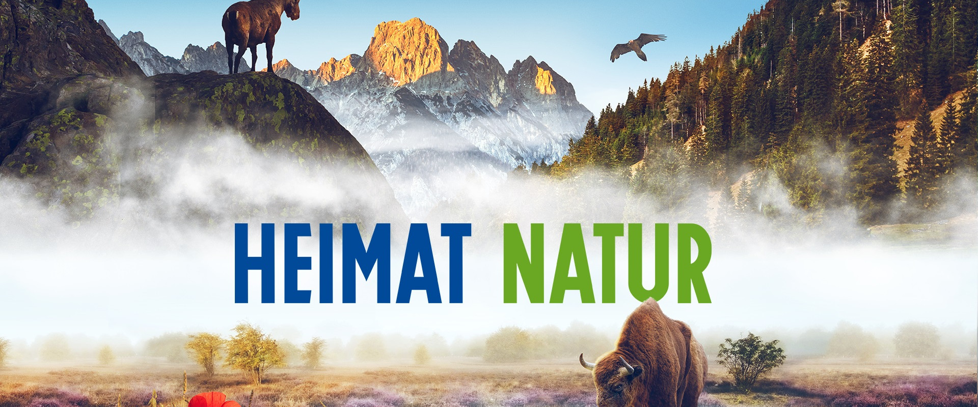Homeland Nature