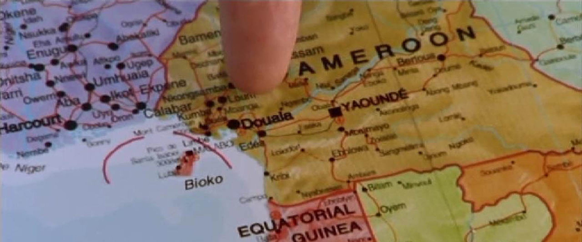 Coup!'s banner image