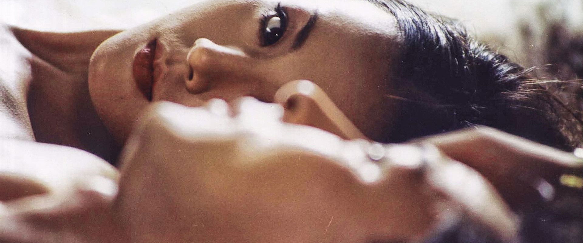 Days of Roses's banner image