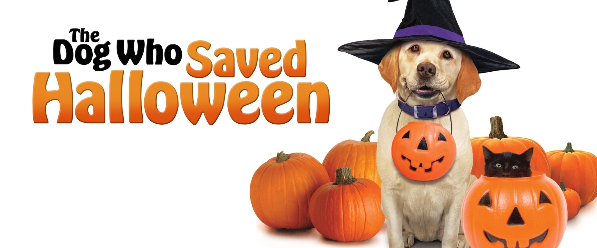 The Dog Who Saved Halloween